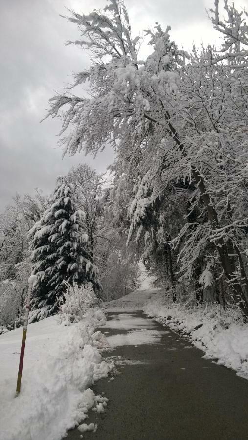 Getaway "At The Three Lights" Sevnica Exterior foto